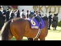 レッドソロモン　in 京都競馬場　at 2015.10.25. 菊花賞　Ｇ１　＃１