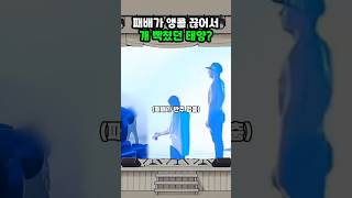 마지막 멘트는 대체 무슨 의도임?