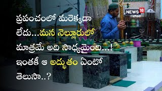 ప్రపంచంలో మరెక్కడా లేదు…మన నెల్లూరులో మాత్రమే అది సాధ్యమైంది…! ఇంతకీ ఆ అద్భుతం ఏంటో తెలుసా..?