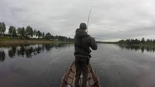 21.7.2021 Tornionjoki Honkasuvanto