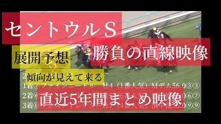 【セントウルS 2022直前】過去５年間直線映像まとめ　展開予想