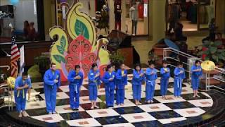 20180512 - Orlando, Florida – Vietnam Martial Arts by Vovinam at 2018 Asian Cultural Festival