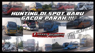 hunting di spot baru gacor parah 🔥🔥🔥 full uwe uwe ‼️