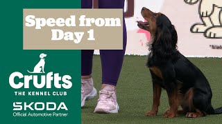 Speed From Day 1 | Crufts 2025