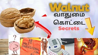 இந்த ரகசியத்தை அனைவரும் அறிந்து கொள்ள வேண்டும் Walnut வாதுமை கொட்டை  || Medicine Health