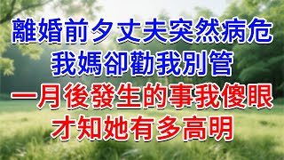 離婚前夕丈夫突然病危，我媽卻勸我別管，一月後發生的事我傻眼，才知她有多高明#為人處世#生活經驗#情感故事#故事#小說#戀愛#情感#婚姻