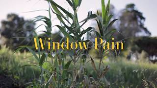 Pip Marinho - Window Pain