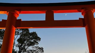 伏見稻荷大社⛩️ #日本 #京都 #神社 #伏見稲荷 #留學 #留学 #Japan #kyoto