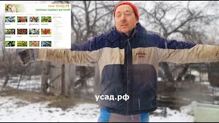 Пришло время .... ПОКУПАТЬ САЖЕНЦЫ НА УСАД.РФ! Скидочные купоны.