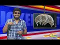 500 மில்லியன் வருடமாக வாழும் அரிய வகை உயிரினம் 12 tucker adithya tv