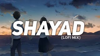 Shayad [Slowed + Reverb] Song | Lofi Song | Lofi Point