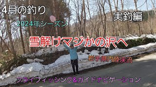 雪解けマジかの沢へ 実釣編　岩手県内陸渓流　水系　ガイドポイント　4月の釣り　フライフィッシング  ヤマメ　イワナ　岩手の釣り　渓流釣り　渓流ルアー　釣り百景　