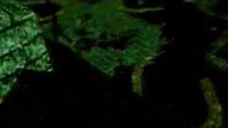Project darkstar demo