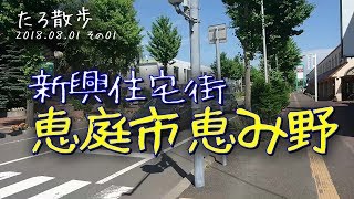 (01) 恵み野駅前の目抜き通りを歩きます（往路）