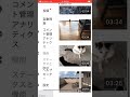 【バズビデオ】全て公開します！新規アカウント簡単に収益化する方法 コメント削除あり 初心者必見 超最新版 具体的方法　♯トップバズ ♯buzzvideo ♯topbuzz