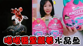 【架子手作】喵喵蛋裡藏著水晶魚！據說把“貓咪唾液”淋上去，魚就能複活？