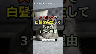 【雑学】ストレスで白髪になる3つの理由　#健康　#豆知識