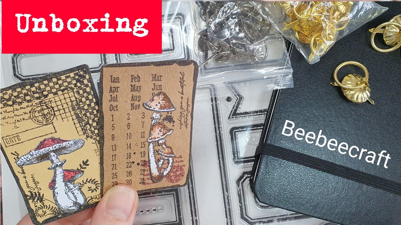 Unboxing Beebeecraft Youtube