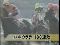 ハルウララ　百敗目のニュース　競馬