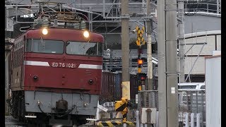 【鍋島貨物】ED76 1021牽引20両編成4081レ　竹下駅付近を走行