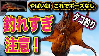 ◆反則級のやばい餌！【ボーズを避けたい方必見】釣りすぎに注意！「タコ釣り」