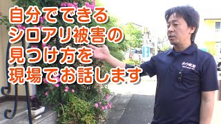 第76回 ボロンde学校 「自分でできるシロアリ被害発見」（ダイジェスト）