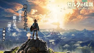 【ゼルダの伝説】１日目。生まれて初めましてのゼルダです。【ブレスオブザワイルド】