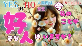 【カード占い】Yes or No❓今わたしのこと好きな人いますか？💖何人いる？その人の特徴は？そしてあなたの印象や魅力✨