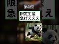 【2ch有益】ワークマンで買い逃すと一生後悔する神商品top7 shorts