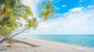 Happy Morning Bossa Nova 🌴 Jazz Music \u0026 Calming Ocean Waves at Beach Ambience for Energy The Day