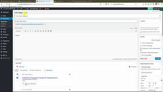 Magic Page Plugin - The Cities Shortcode