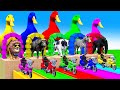 5 Giant Duck Cartoon, Cow, Mammoth, Elephant, Lion, Paint Wild Animals Crossing Fountain Animation