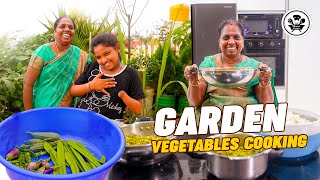 😍 பேரனுக்காக இதை செய்யன்னு அப்பவே நெனச்சன் 😇 |Terrace garden Vegetables Cooking🌳