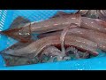 the art of cutting live squid a favorite food of koreans