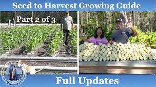 How to Grow Corn, Complete Growing Guide (Part 2 of 3)