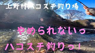 2024 12/7•8 やめられない！ハコスチ釣り！上野村川の駅冬季ハコスチ釣り場