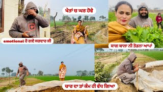 ਖੇਤ ਗਏ ਸਾਗ ਤੋੜਨ 🥬ਖੇਤ ਤਾ ਸਵਰਗ ਆ 🥰 ਸਰਦਾਰ ਜੀ emotional ਹੋ ਗਏ # viral vlogs# family vlogs# daily vlogs