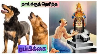 ஒரு நாய் மற்றொன்று மேல் வைக்கும் நம்பிக்கை /ஆனால் மனிதன்!