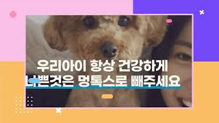 세상 모든 강아지들의 🐶건강지킴이“디톡스펫” 입니다