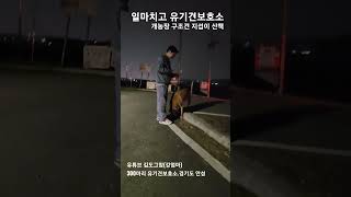 일마치고 유기견보호소 방문 / 개농장 구조견 지섭이 산책