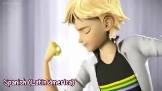 Miraculous Ladybug Chatnoirs Transformation Multilanguage