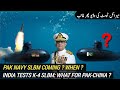 Pak Navy's SLBM Inevitable Now | India fires K-4 Missile from Nuclear Submarine | AM Raad