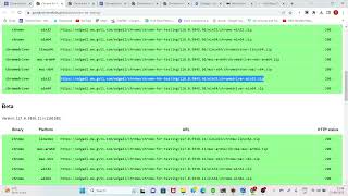 java.lang.IllegalStateException: The driver executable does not exist | Java