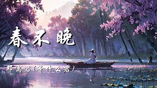 春不晚 - 邓寓君(等什么君)【姑娘 一句春不晚 痴儿 留在真江南 江南曲落孤城 化作烟雨与我对弹】【动态歌词 Lyrics】【拼音歌词】【抖音歌曲】