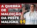 A QUEBRA DA MALDIÇÃO DA PESTE MALIGNA! 🖐🏼 ORAÇÃO 21 DE NOVEMBRO | 12:30