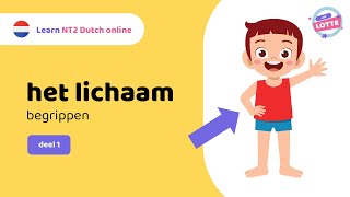 NT2 les: “het lichaam” begrippen 🙋 - deel 1 | Juf Lotte #learndutch