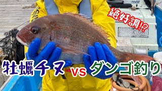 【筏釣り 海香】牡蠣チヌvsダンゴ釣り！結果はいかに...⁉︎