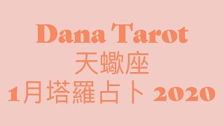 [Dana Tarot] 天蠍座1月塔羅占卜 2020