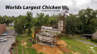 Worlds Largest Sculpture Chicken in Fitzgerald, Georgia Standing 62 Feet Tall