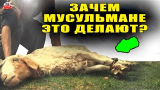 ПОЧЕМУ МУСУЛЬМАНЕ ПРИНОСЯТ ЖЕРТВУ В КУРБАН БАЙРАМ?